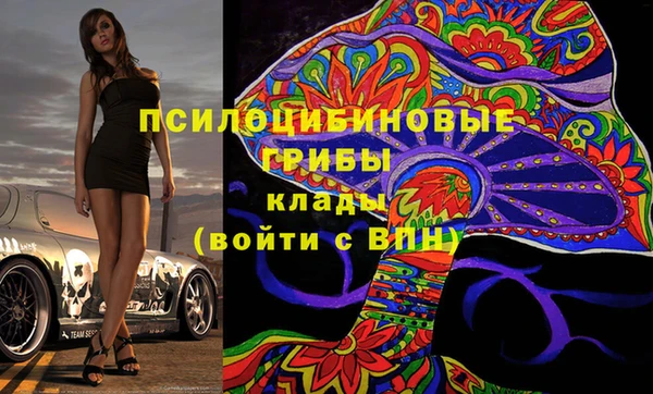 стафф Вяземский